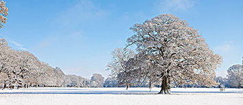 阿联做客脱口秀节目大秀幽默风采