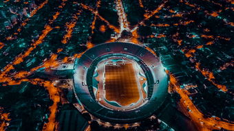 kaiyun开云体育-埃及队未来规划：全方位打造高水平乒乓队伍，埃及乒乓球男团名单